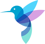 hummingbird